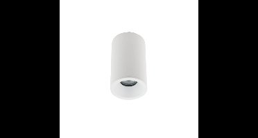 Lyora Witte opbouwspotAlpha IP54 - 8362