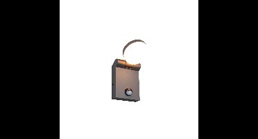 Trio Strakke wandlampAdour antraciet met sensor - 245569142