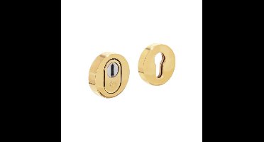 Intersteel VeiligheidsrozetSalus kerntrekbeveiliging messing ongelakt - 0010.375100