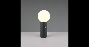Trio Bol tuinlamp 40cmMures antraciet met sensor - 569869142