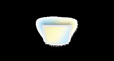 WiZ PlafonnièrePanel wit - 12W - 9,29E+11