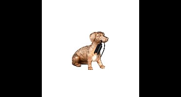 Trio TafellampRudi hondje goud - R56601079
