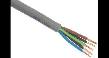 Beslight Aansluitkabel5 x 2,5 XMVK - 17238