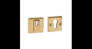 Intersteel VeiligheidsrozetSalus vierkant messing - 0013.375570