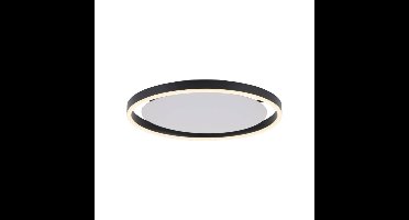 Paul Neuhaus Led plafonnièreRitus Ø 40cm - 15391-13