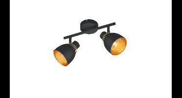 Trio Zwarte plafondlampPunch 2-lichts - R80812032