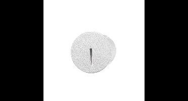 Lyora InbouwlampAizen rond wit - 9136186