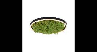 Just Light PlafondlampGreen Ritus met mos Ø 39,3cm - 15391-66