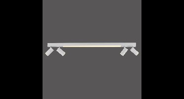 Paul Neuhaus Plafond opbouwspotPure Lines Spot 110cm - wit - 6121-16