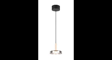Trio Led hanglampCeleste Ø 22cm - smoke glas - 354910132