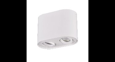 Trio Witte plafondspotCookie 2-lichts - 612900231