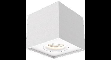 Lyora Led plafondspotIblocc wit - 107077