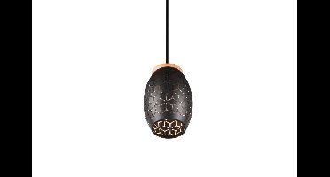 Trio Zwart goude hanglampBidar design - R31571080