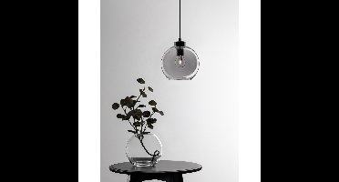 Lyora HanglampPalmer enkel zwart met smoke glas - 9241130