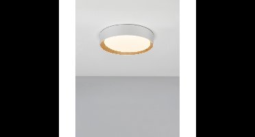 Lyora PlafondlampStake wit Ø 35cm - 9345524