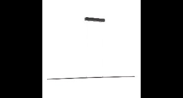 Paul Neuhaus Design hanglampPure Lite 160cm antraciet - 8377-13