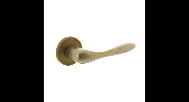 Intersteel DeurklinkBanaan op rozet messing getrommeld - 0011.020102