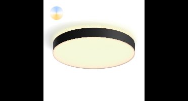 Philips PlafondlampHue Enrave XL - White Ambiance Ø 55,1cm zwart - 915005997101