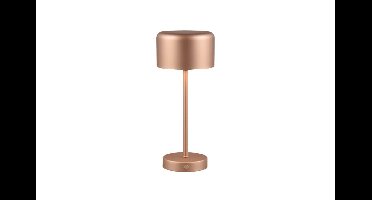 Trio TafellampJeff bruin - R59151165