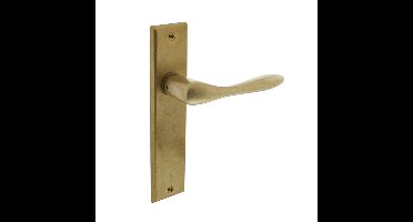 Intersteel DeurklinkBanaan op schild messing getrommeld - 0011.020111