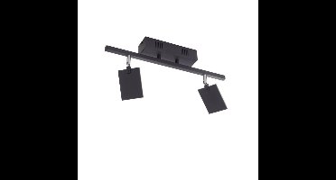 Paul Neuhaus PlafondlampPure Mira 2-lichts zwart - 6354-18