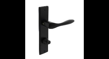 Intersteel DeurklinkBanaan WC-sluiting 63/8 zwart - 0023.020165