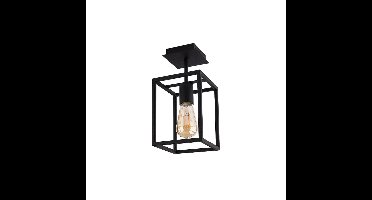 Lyora Landelijke plafondlampCrate - 9045