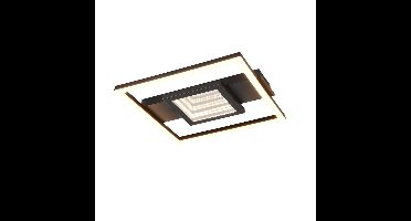 Trio Design plafondlampWheeler zwart vierkant - R64801932