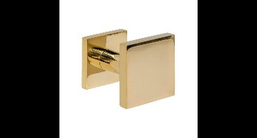 Intersteel VoordeurknopCastor vierkant messing - 0013.393049