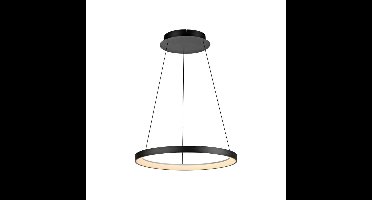 Paul Neuhaus Ronde hanglampHoop zwart - 2851-18