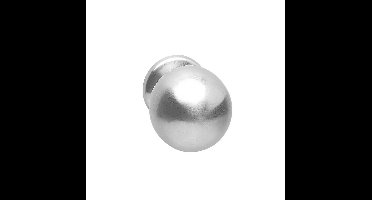 Intersteel VoordeurknopCastor eenzijdige montage RVS Ø 7,5cm - 35.393.081