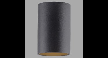 Paul Neuhaus Plafond opbouwspotPure Point Ø 6cm - black pearl - 6749-18