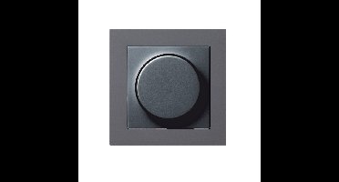 Lyora AntracieteDimmer cover voor inbouwdimmer - 1727809+1734755