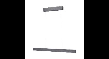 Paul Neuhaus Design hanglampPure E-Motion grijs - 2570-15