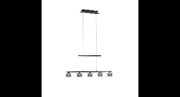 Paul Neuhaus 5-lichts hanglampHydra zwart - 2209-18