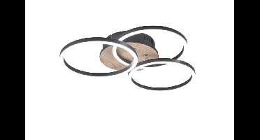 Trio PlafondlampCircle Ø 43,5cm - R62823135