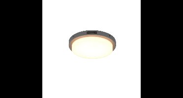 Trio PlafondlampBermejo rond antraciet - 630369142