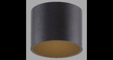 Paul Neuhaus Plafond opbouwspotPure Point Ø 11cm - black pearl - 6761-18