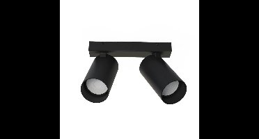 Lyora Zwarte opbouwspotMono 2-lichts kantelbaar - 7841