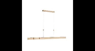 Paul Neuhaus Led hanglampPure-Moto messing mat - 2525-60