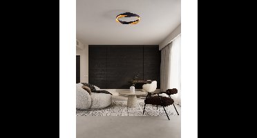 Lyora PlafondlampRadon Ø 45cm zwart met goud - 9186950