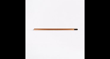 Lyora 1 meter rail met voedingTraQ goud - 510699