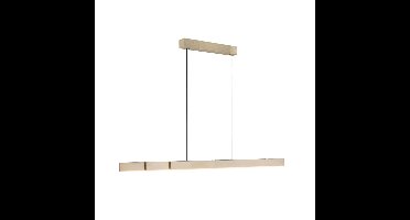 Paul Neuhaus Design hanglampPure Moto-Rise messing - 2545-60