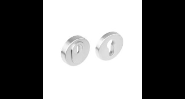 Intersteel VeiligheidsrozetSalus massief kerntrekbeveiliging RVS - 0035.375561