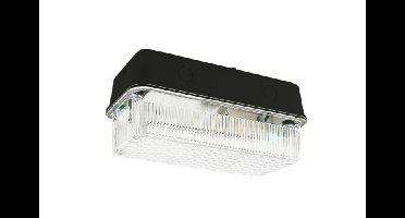 Buitenwandlamp / Portiekarmatuur Slagvast, Zwart, Waterdicht IP44, E27 Fitting