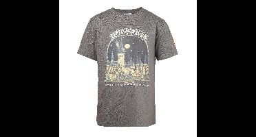 Harry Potter T-Shirt Gray