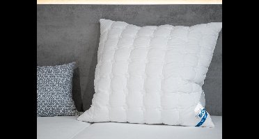 BeCo Hoofdkussen COTTON SOFT (80 x 80 cm)
