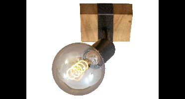 Briloner Wand- en plafondlamp (1 plek)