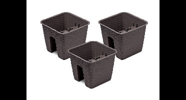 Prosperplast 3 railing bloempotten (Vierkant, 27,2 x 27,2 x 22,5 cm, Bruin)