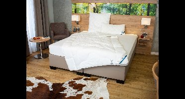 BeCo All season dekbed ANTI-ALLERGIE (155 x 220 cm)